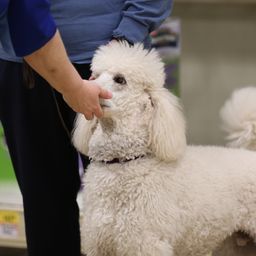 photograph by PeterW